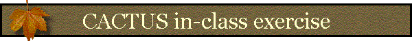 CACTUS in-class exercise