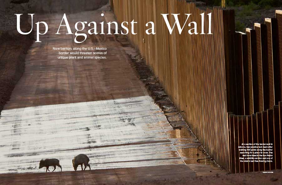 National Wildlife magazine title image