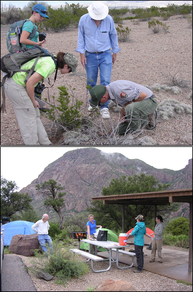 big bend field trip