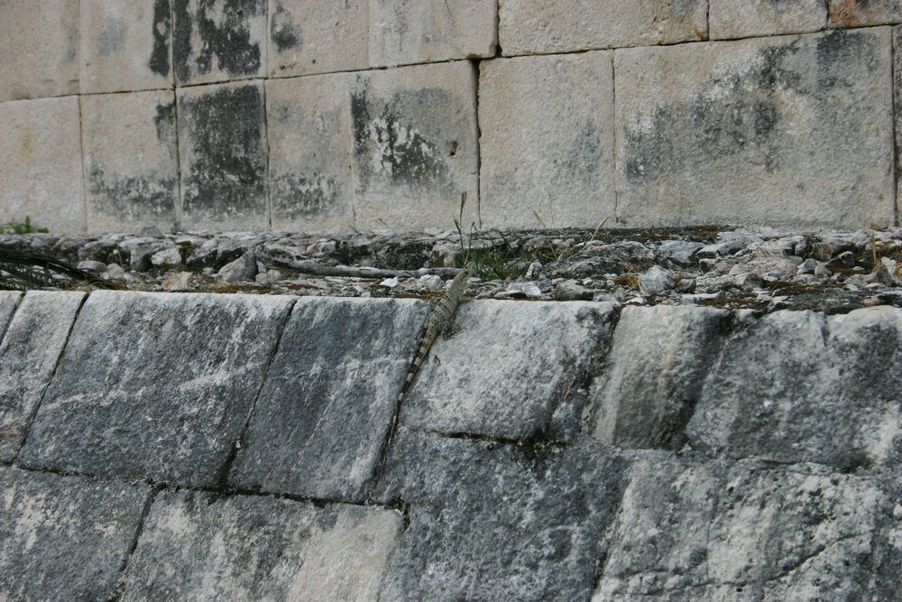 03 Chichen Itza.jpg