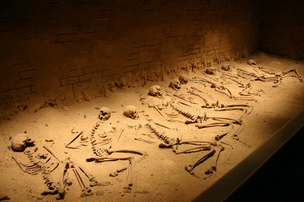 46 National Museum of Anthropology.jpg