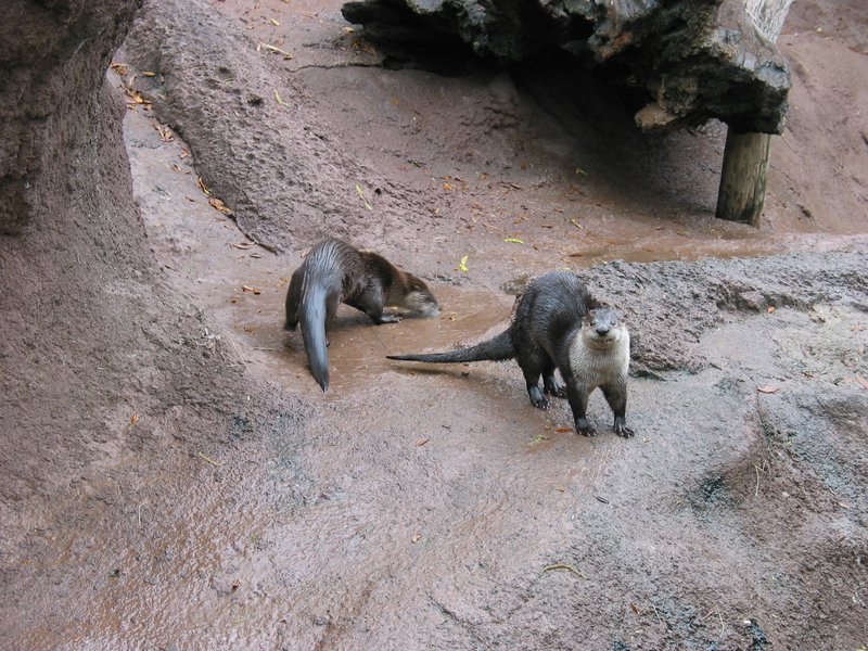 121-2155_IMG.JPG