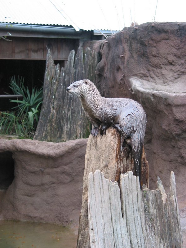 121-2156_IMG.JPG