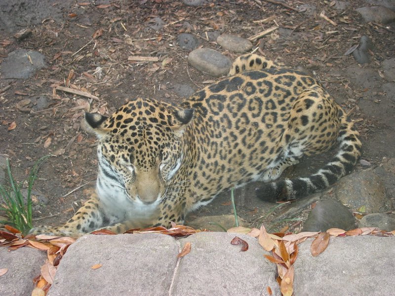 121-2172_IMG.JPG