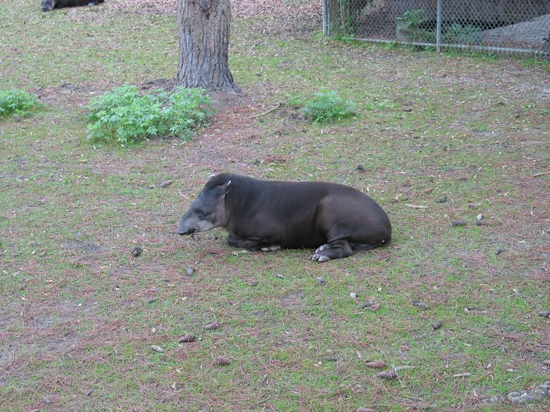 121-2175_IMG.JPG
