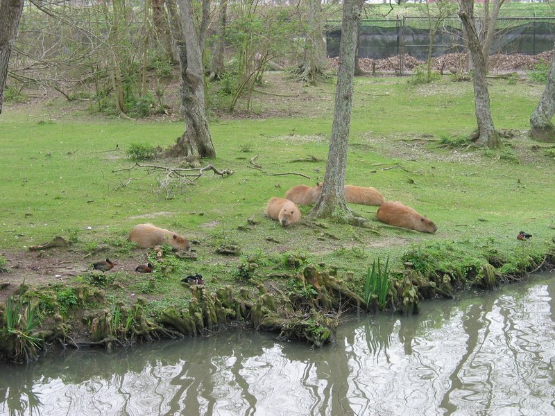 121-2176_IMG.JPG