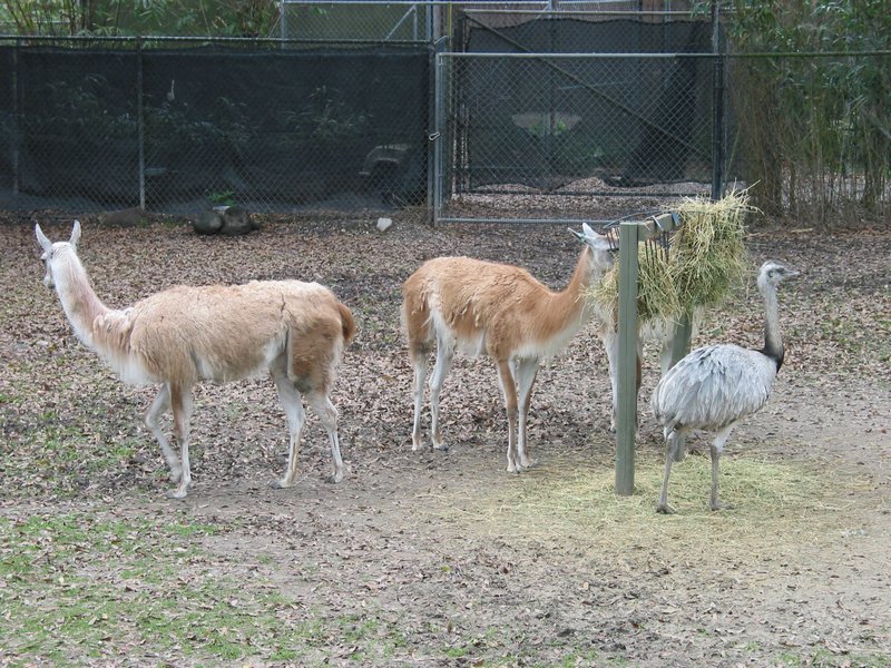 121-2179_IMG.JPG