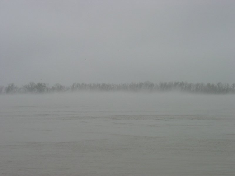 121-2184_IMG.JPG