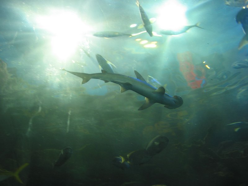 121-2200_IMG.JPG