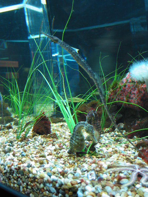 122-2212_IMG.JPG