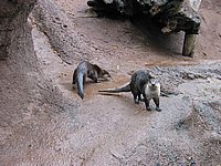 121-2155_IMG.JPG