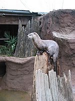 121-2156_IMG.JPG