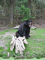 121-2162_IMG.JPG