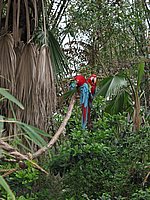 121-2164_IMG.JPG