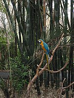 121-2166_IMG.JPG
