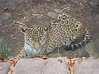 121-2172_IMG.JPG