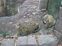 121-2173_IMG.JPG