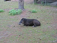 121-2175_IMG.JPG