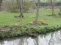121-2176_IMG.JPG