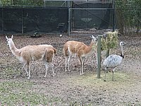 121-2179_IMG.JPG