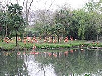 121-2181_IMG.JPG