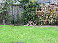 121-2182_IMG.JPG
