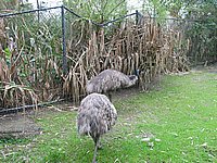 121-2183_IMG.JPG