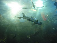 121-2200_IMG.JPG
