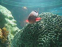 122-2204_IMG.JPG