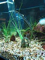 122-2212_IMG.JPG