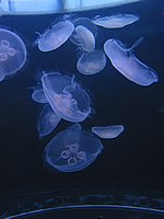 122-2218_IMG.JPG