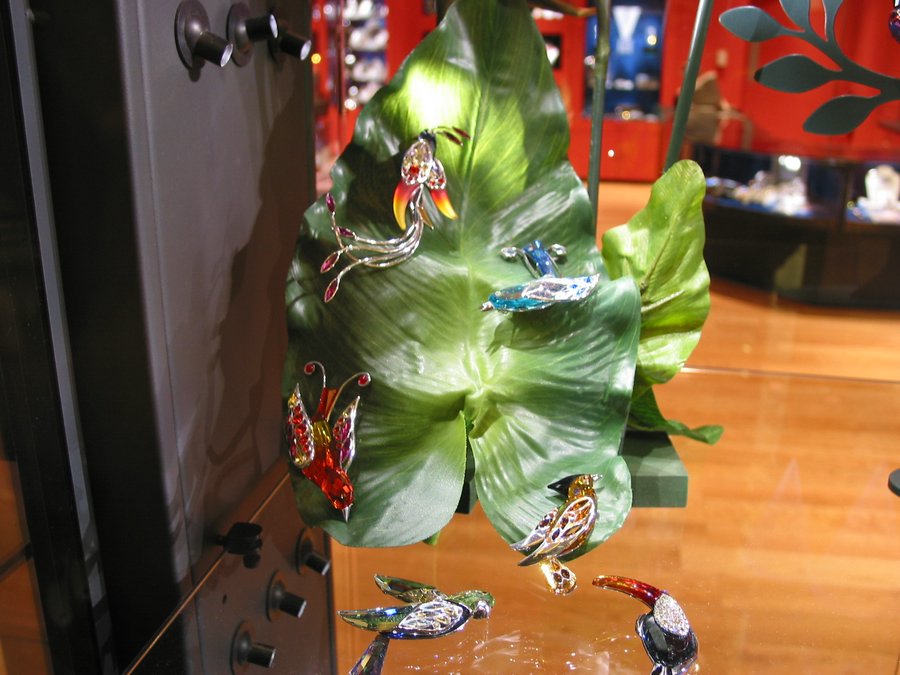 100-0023_IMG.JPG