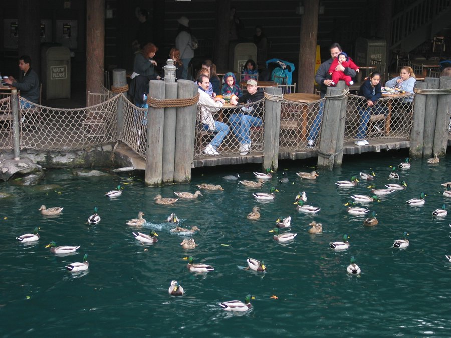 100-0088_IMG.JPG