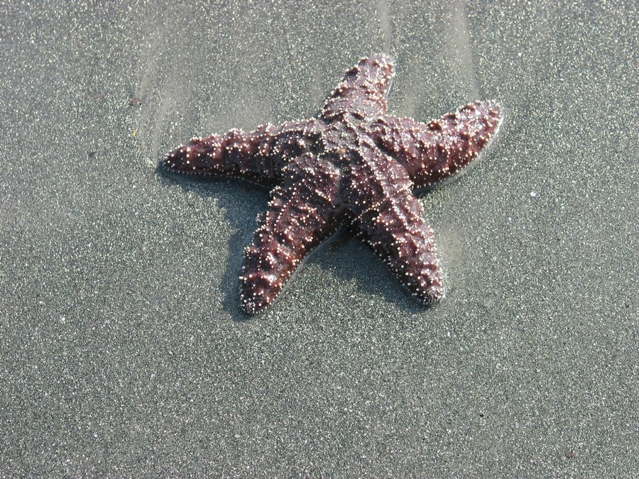 103-0378_IMG.JPG