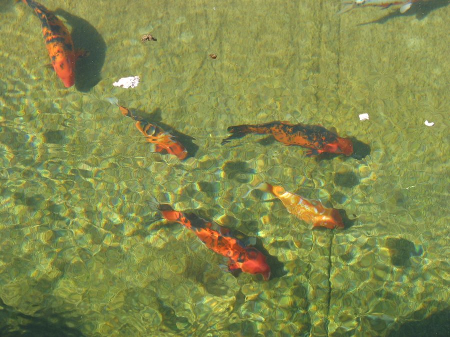 104-0444_IMG.JPG