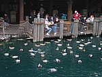 100-0088_IMG.JPG