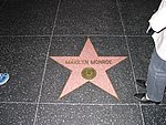 103-0321_IMG.JPG