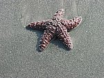 103-0378_IMG.JPG