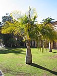 104-0437_IMG.JPG