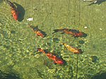 104-0444_IMG.JPG
