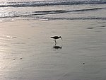 104-0497_IMG.JPG