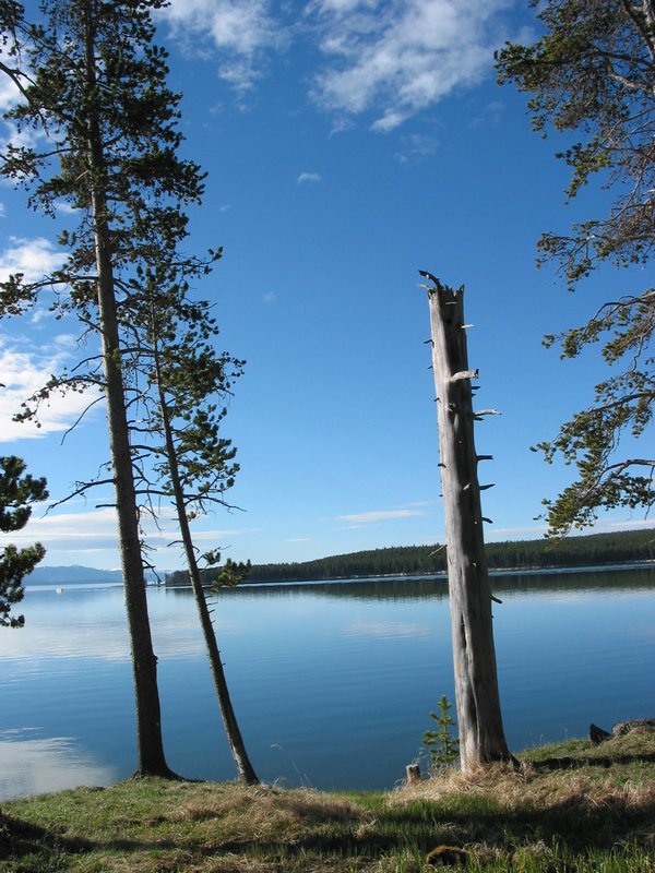 106-0680_IMG.JPG