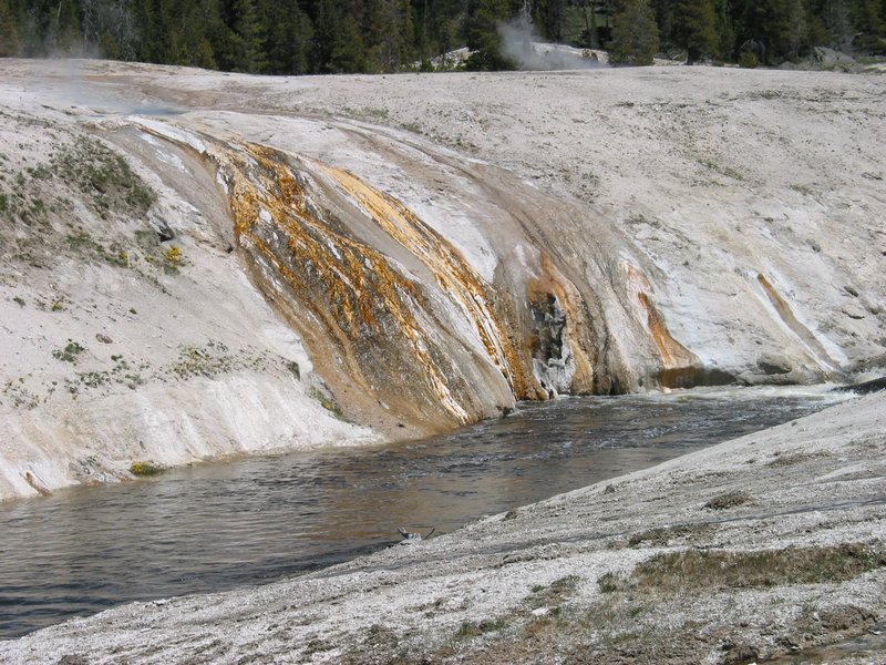 107-0736_IMG.JPG