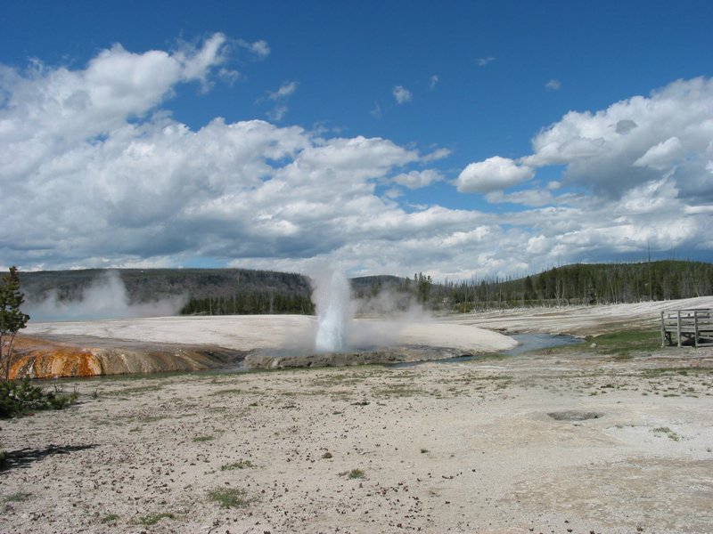 108-0815_IMG.JPG
