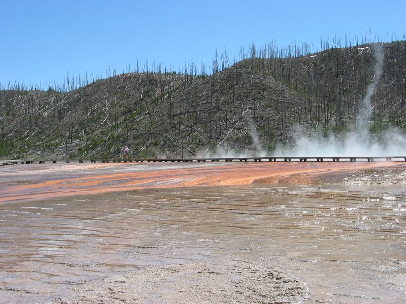 108-0849_IMG.JPG