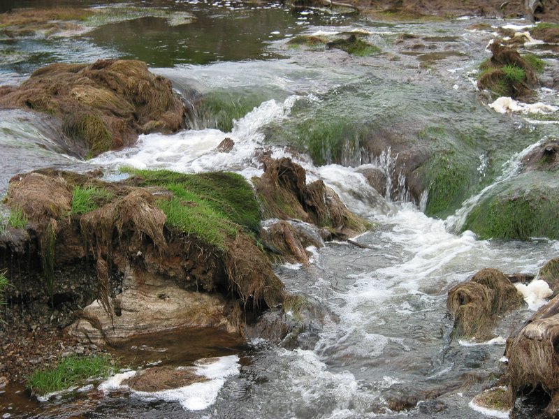 108-0866_IMG.JPG