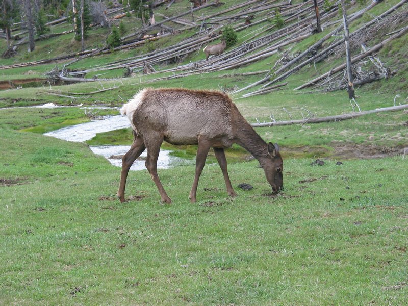 108-0872_IMG.JPG