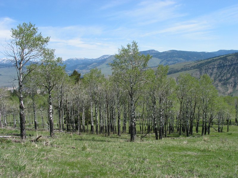 109-0933_IMG.JPG
