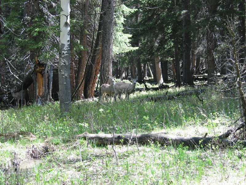 109-0935_IMG.JPG