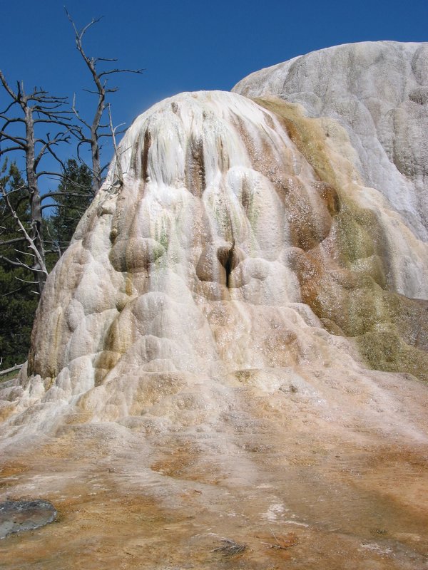 109-0960_IMG.JPG